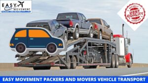 Easy Movement Packers and Movers